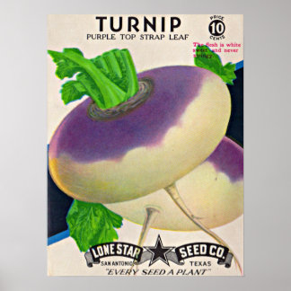  1950s seed packet turnips poster