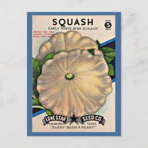  1950s seed packet white squash postcard