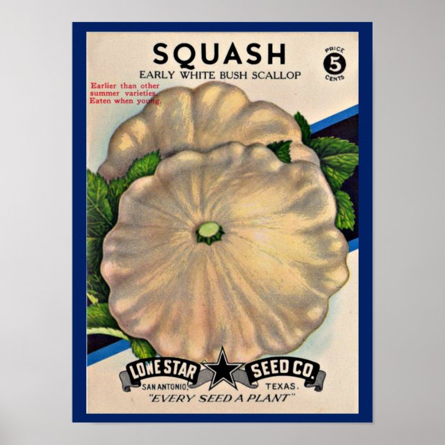1950s seed packet white squash print (Front)