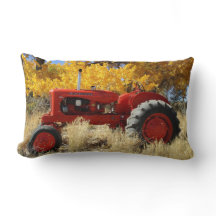 1955 WD45 Allis Chalmers Tracter Lumbar Pillow
