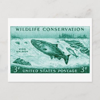 1956 Wildlife Conservation  Salmon Postcard by historicimage at Zazzle