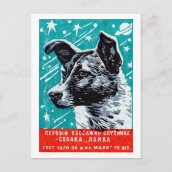 1957 Laika The Space Dog Postcard by historicimage at Zazzle