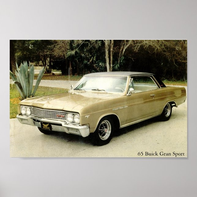 1965 Buick Skylark Gran Sport Poster (Front)
