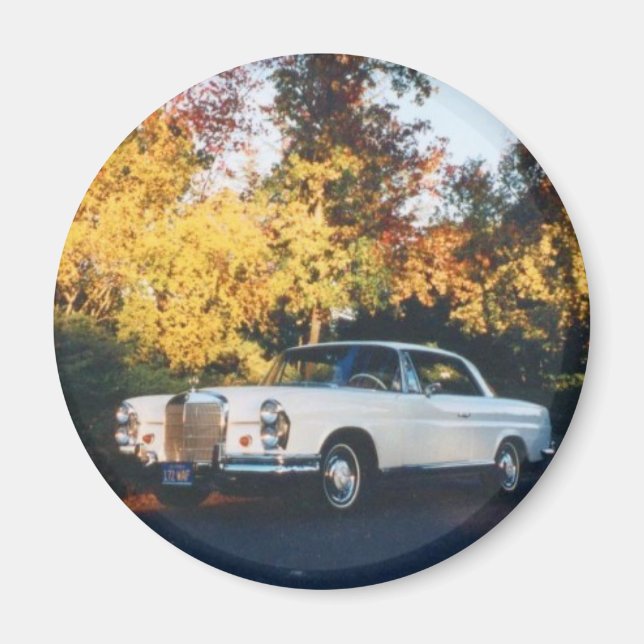 1965 Mercedes-Benz 220SEb coupe Magnet (Front)