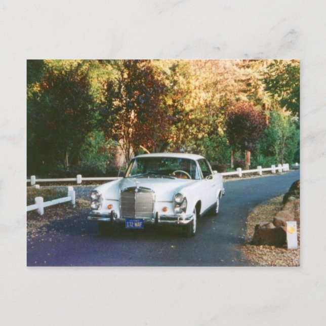 1965 Mercedes Benz 220SEb cuts classic because Postcard (Front)