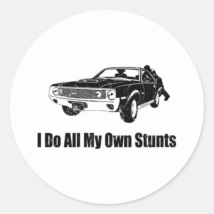 1970 AMC AMX 390 STICKERS