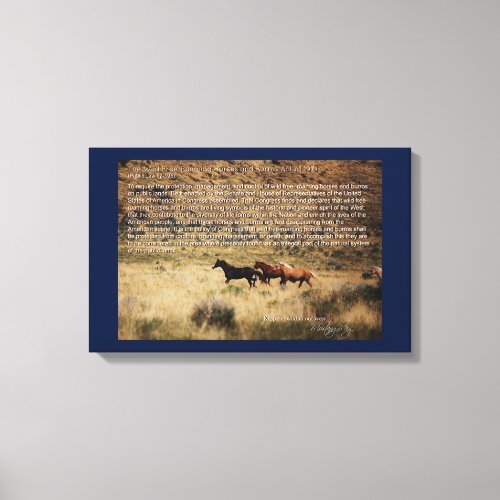 1971 Wild Free Roaming Horses  Burros Act Canvas