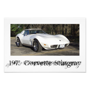 1975 Corvette Stingray Photo Print
