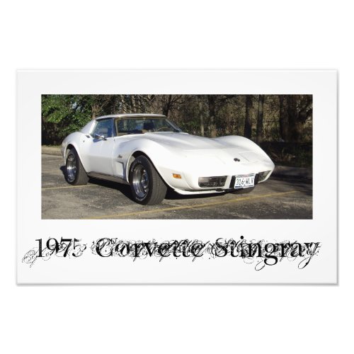 1975 Corvette Stingray Photo Print 1975 Corvette Stingray Photo Print