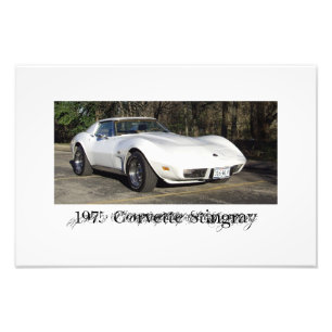 1975 Corvette Stingray Photo Print