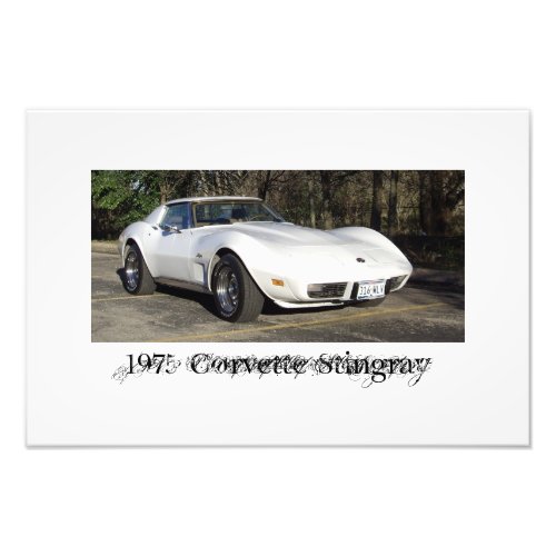 1975 Corvette Stingray Photo Print
