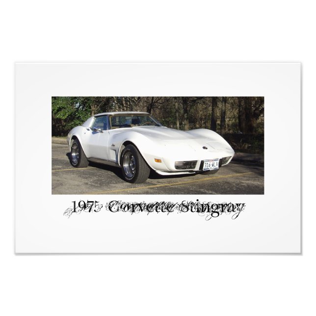 1975 Corvette Stingray Photo Print (Front)