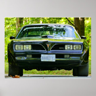 Pontiac Firebird Posters | Zazzle