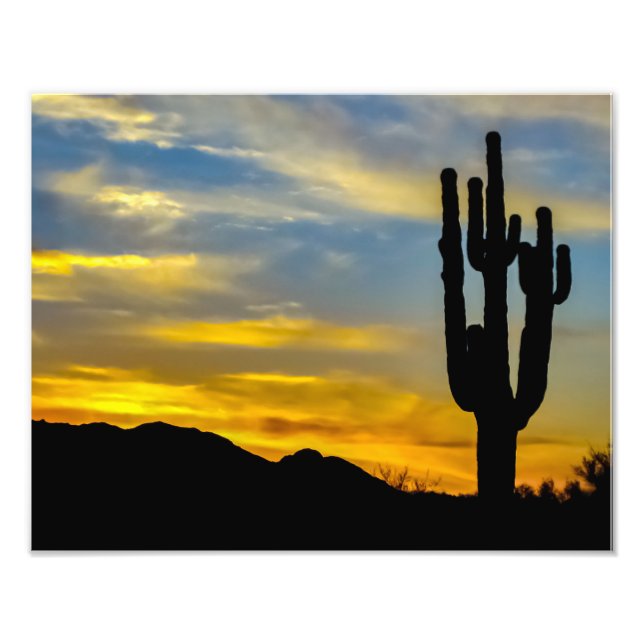 1996-2-Arizona Desert at Sunset with Saguaros Photo Print (Front)