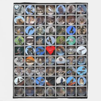 1998-2019 Peregrine Falcons of Rochester, NY Fleece Blanket