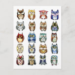 19 And 1 Cat And Owls Postcard at Zazzle