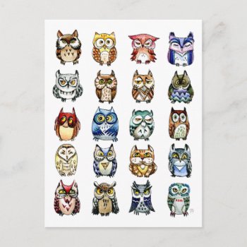 19 And 1 Cat And Owls Postcard by IronicOwl at Zazzle