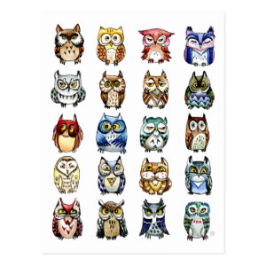 19 and 1 Cat and Owls Postcard