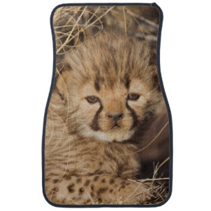 19 days old male cub. Namibia Car Floor Mat