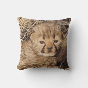 19 days old male cub. Namibia Throw Pillow