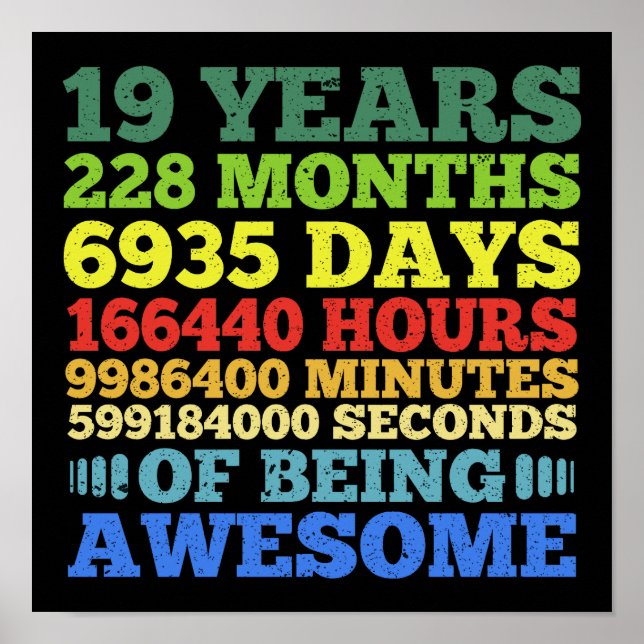 19 Years Old Vintage 19th Birthday 228 Months Poster (Front)