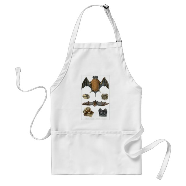 19th C. Bat Print Adult Apron (Front)