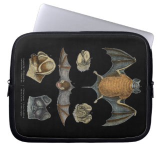 19th C. Bat Print Laptop Sleeve