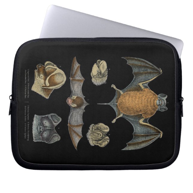 19th C. Bat Print Laptop Sleeve (Front)