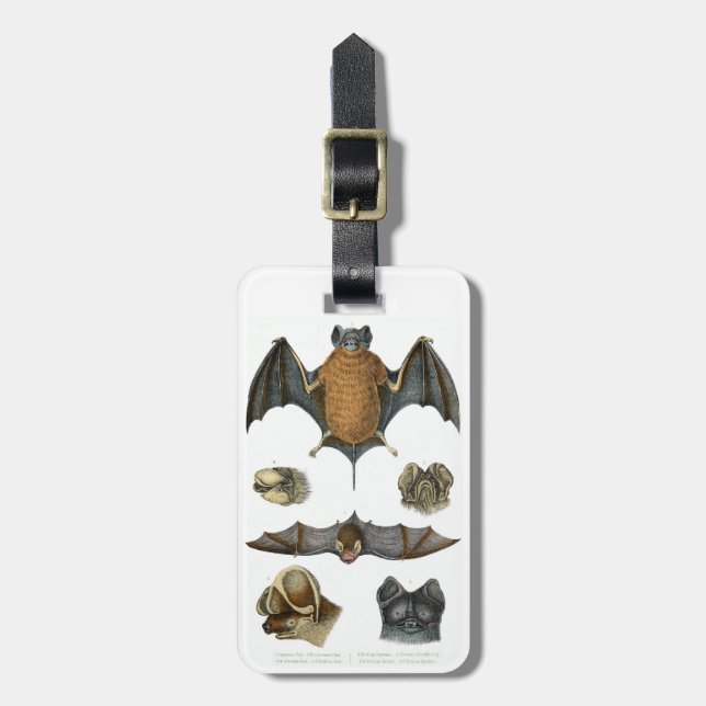 19th C. Bat Print Luggage Tag (Front Vertical)