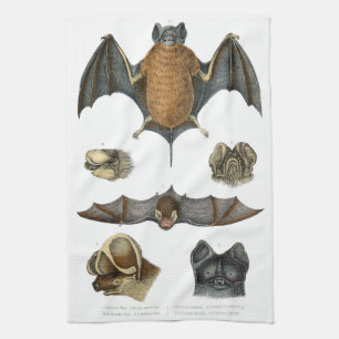 19th C. Bat Print Towel