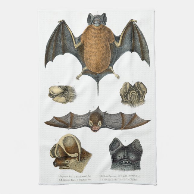19th C. Bat Print Towel (Vertical)