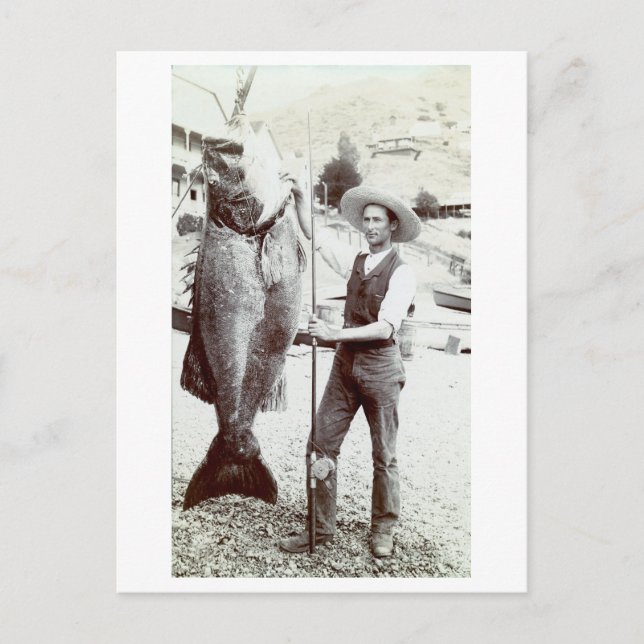 19th C. Fisherman and Goliath Grouper Postcard (Front)