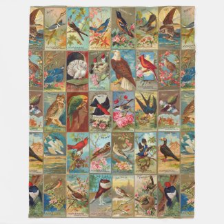 19th Century Birds of America Illustrations