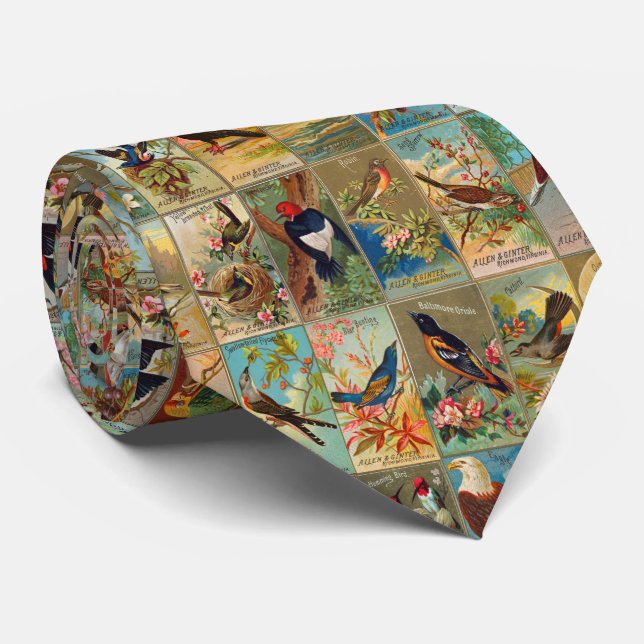 19th Century Birds of America Illustrations Neck Tie (Rolled)