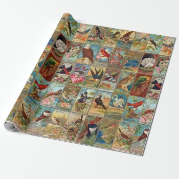 19th Century Birds Of America Wrapping Paper by judgeart at Zazzle