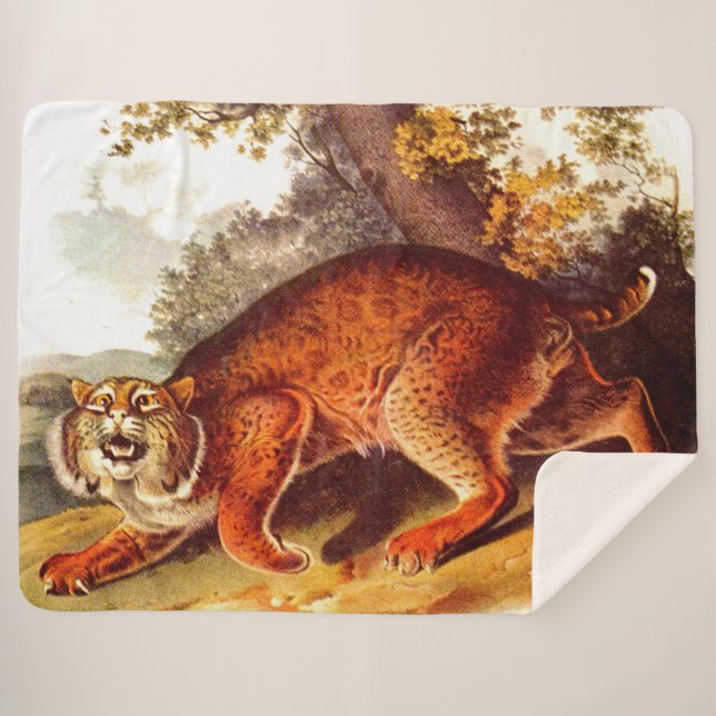 19th century bobcat print sherpa blanket (Front (Horizontal))
