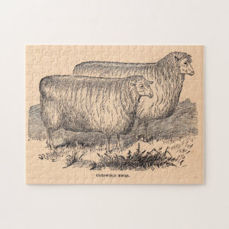 19th century Cotswold ewes print Jigsaw Puzzle