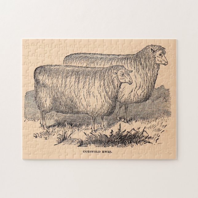 19th century Cotswold ewes print Jigsaw Puzzle (Horizontal)