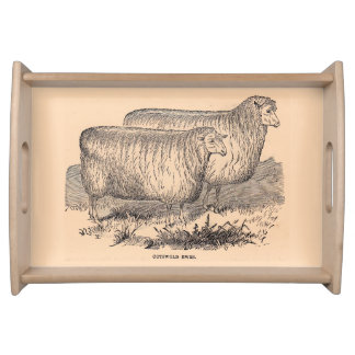 19th century Cotswold ewes print Serving Tray