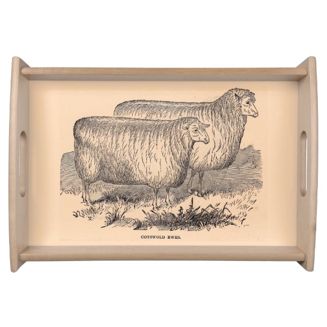 19th century Cotswold ewes print Serving Tray (Front)