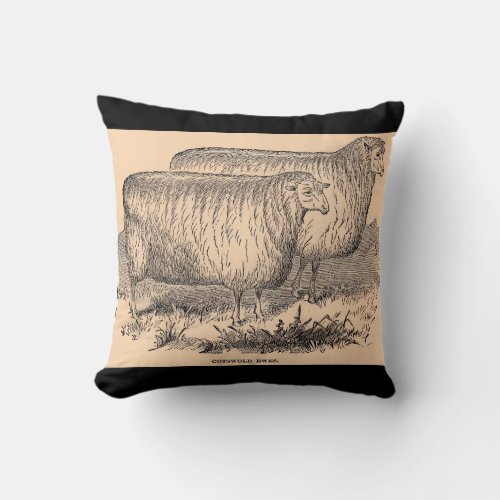 19th century Cotswold ewes print Throw Pillow