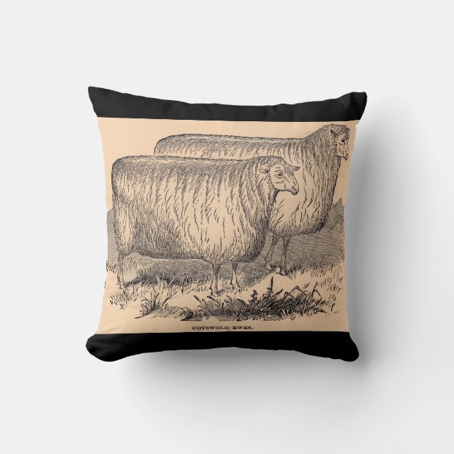 19th century Cotswold ewes print Throw Pillow (Front)