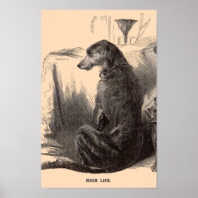 19th century dog print High Life (Front)