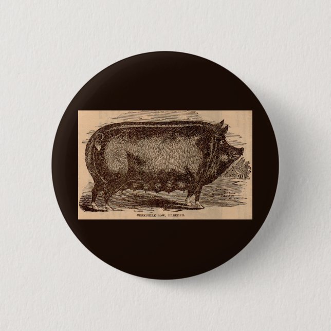19th century farm animal print Berkshire sow no. 1 Button (Front)