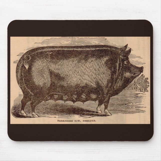 19th century farm animal print Berkshire sow no. 1 Mouse Pad (Front)