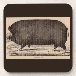 19th century farm animal print Berkshire sow no. 2 Beverage Coaster