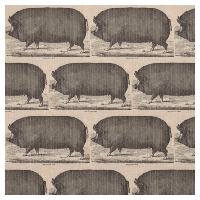 19th century farm animal print Berkshire sow no. 2 Fabric (Swatch)