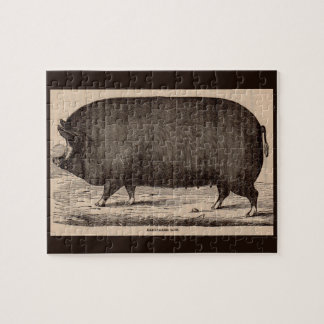 19th century farm animal print Berkshire sow no. 2 Jigsaw Puzzle