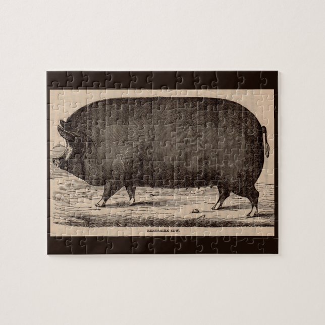 19th century farm animal print Berkshire sow no. 2 Jigsaw Puzzle (Horizontal)