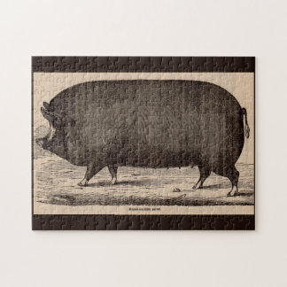 19th century farm animal print Berkshire sow no. 2 Jigsaw Puzzle